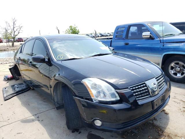 NISSAN MAXIMA SE 2004 with VIN 1N4BA41E74C915672 - Photo from auction