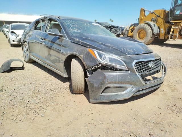 HYUNDAI SONATA HYB 2016 with VIN KMHE34L16GA019161 - Photo from auction