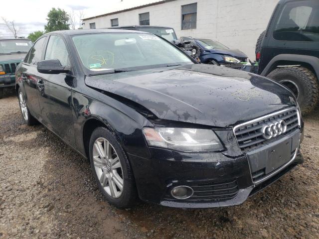 AUDI A4 PREMIUM 2010 with VIN WAUBFAFL0AN001262 - Photo from auction