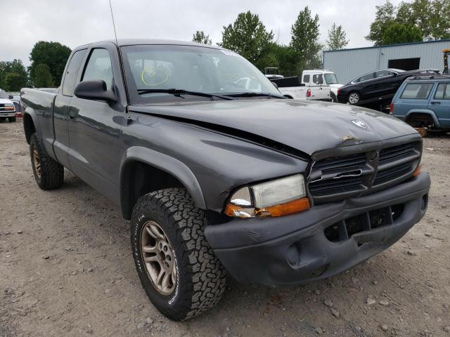 DODGE DAKOTA SXT 2003 with VIN 1D7HG12X33S382134 - Photo from auction