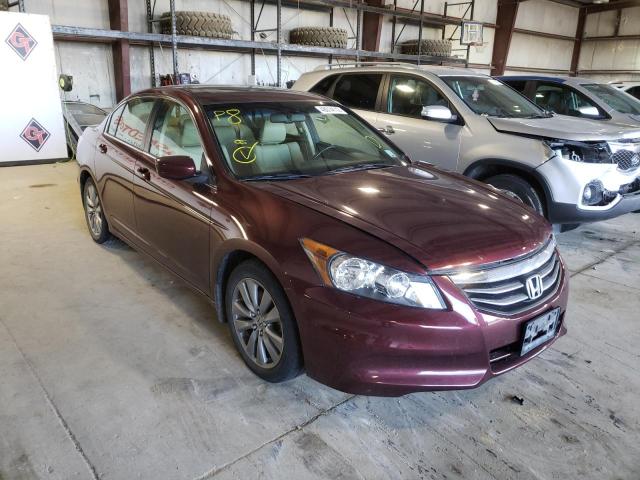 HONDA ACCORD EXL 2011 with VIN 1HGCP2F84BA126779 - Photo from auction