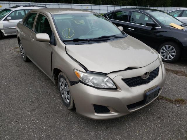TOYOTA COROLLA BA 2010 with VIN 1NXBU4EE6AZ201142 - Photo from auction