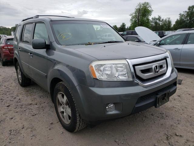 HONDA PILOT EX 2009 with VIN 5FNYF48409B001647 - Photo from auction