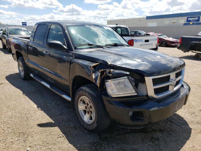 DODGE DAKOTA QUA 2008 with VIN 1D7HW48N38S568063 - Photo from auction