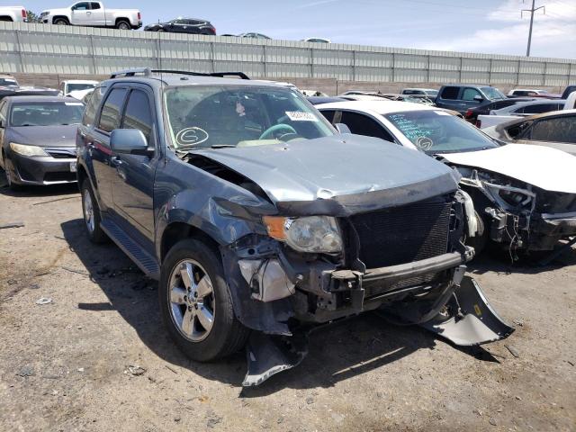 FORD ESCAPE LIM 2010 with VIN 1FMCU0EG8AKA70550 - Photo from auction