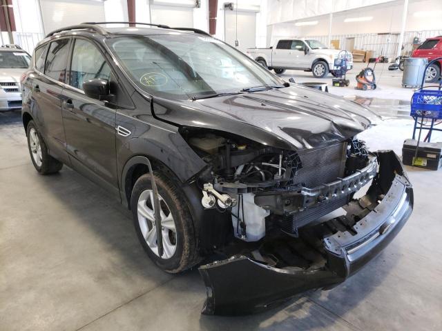 FORD ESCAPE SE 2013 with VIN 1FMCU0GX6DUD64700 - Photo from auction