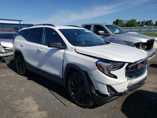 GMC TERRAIN SL 2020 with VIN 3GKALTEV3LL186615 - Photo from auction