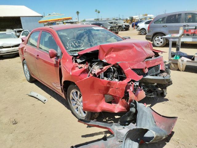 TOYOTA COROLLA BA 2009 with VIN 2T1BU40E19C048500 - Photo from auction