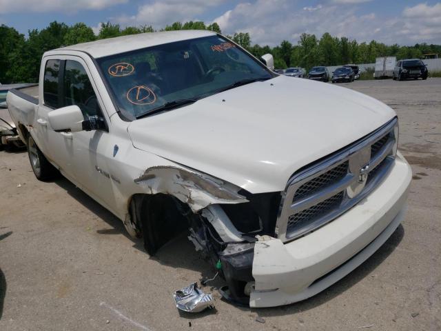 DODGE RAM 1500 2009 with VIN 1D3HV18T39S807209 - Photo from auction