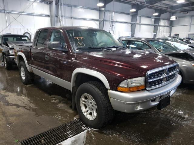 DODGE DAKOTA QUA 2004 with VIN 1D7HG48N44S584845 - Photo from auction