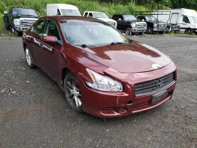NISSAN MAXIMA S 2010 with VIN 1N4AA5AP6AC805159 - Photo from auction