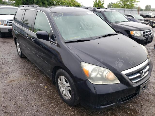 HONDA ODYSSEY EX 2005 with VIN 5FNRL38685B509867 - Photo from auction