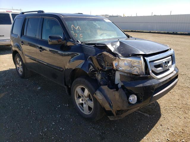 HONDA PILOT EXL 2011 with VIN 5FNYF4H53BB506211 - Photo from auction