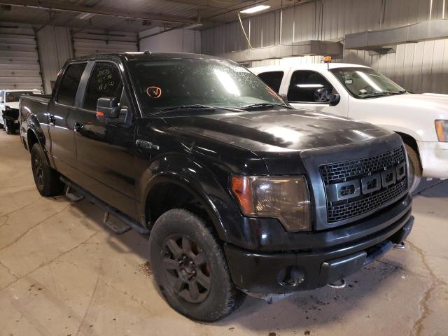 FORD F150 SUPER 2009 with VIN 1FTPW14V99FB15733 - Photo from auction
