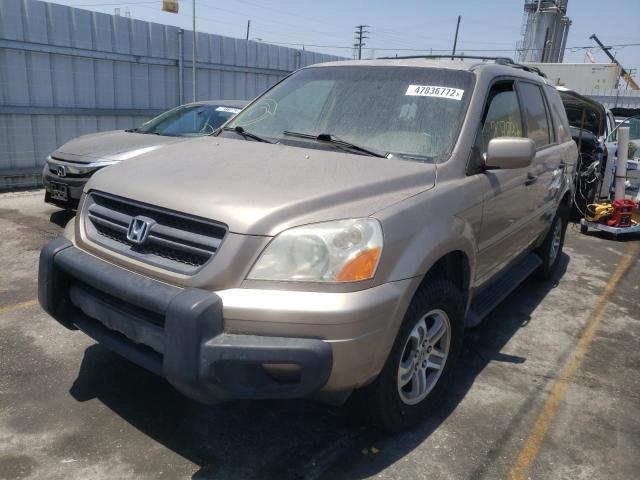 Photo 2 from auction – 2003 HONDA PILOT EXL with VIN 2HKYF18523H555756