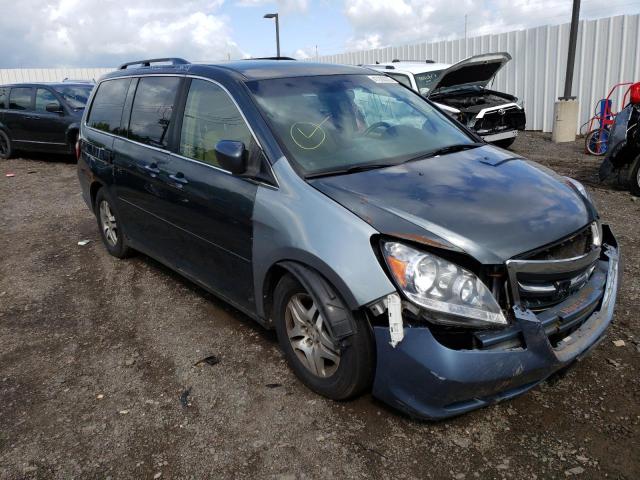 HONDA ODYSSEY EX 2005 with VIN 5FNRL38455B401446 - Photo from auction
