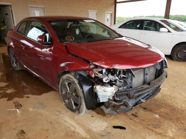KIA FORTE EX 2010 with VIN KNAFU6A20A5308692 - Photo from auction