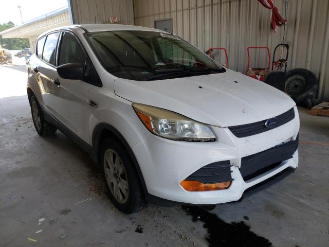 FORD ESCAPE S 2014 with VIN 1FMCU0F78EUD10009 - Photo from auction