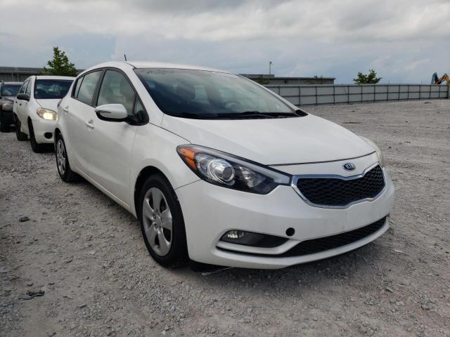 KIA FORTE LX 2016 with VIN KNAFK5A89G5591154 - Photo from auction