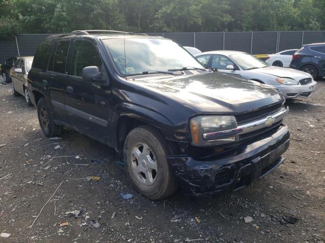 CHEVROLET TRAILBLAZE 2003 with VIN 1GNDT13S532111266 - Photo from auction