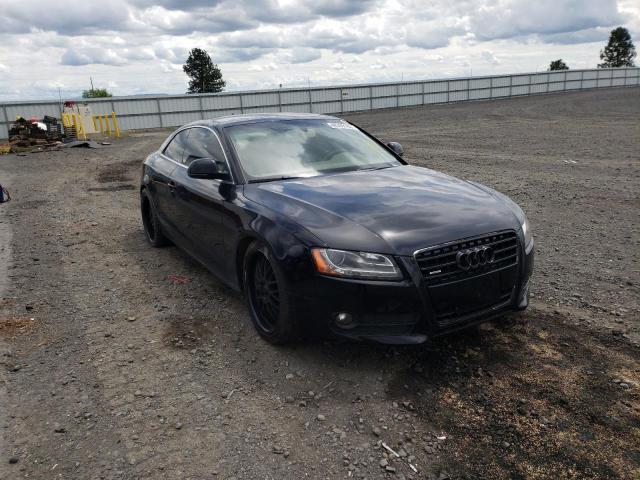 AUDI A5 QUATTRO 2009 with VIN WAUDK78T09A005934 - Photo from auction