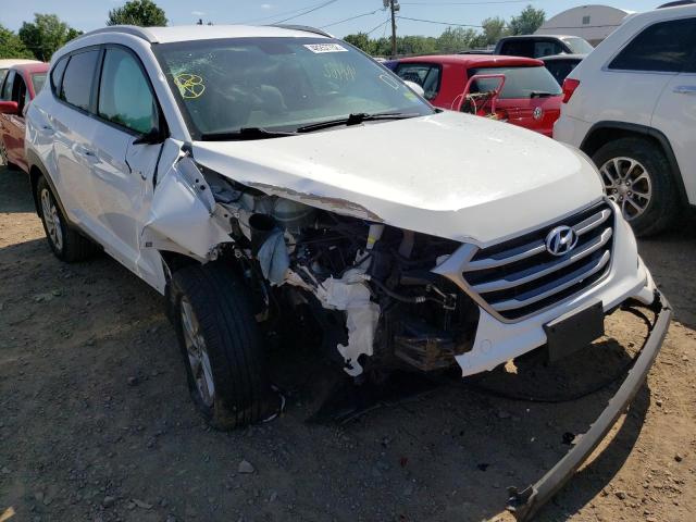 HYUNDAI TUCSON LIM 2017 with VIN KM8J3CA43HU345991 - Photo from auction
