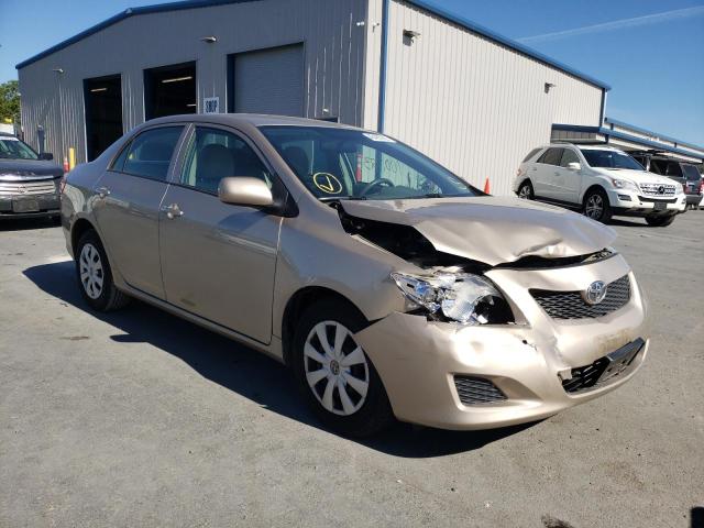 TOYOTA COROLLA BA 2010 with VIN 2T1BU4EE3AC528499 - Photo from auction