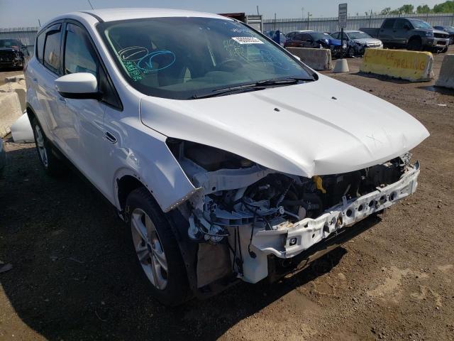 FORD ESCAPE SE 2014 with VIN 1FMCU0GX5EUD66794 - Photo from auction