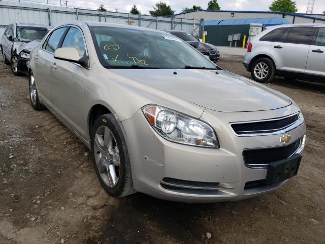 CHEVROLET MALIBU 2LT 2011 with VIN 1G1ZD5EU2BF247565 - Photo from auction