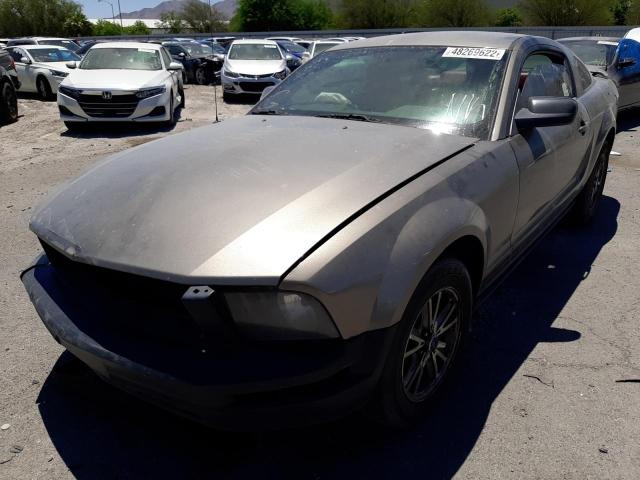 Photo 2 from auction – 2005 FORD MUSTANG with VIN 1ZVHT80N755249455