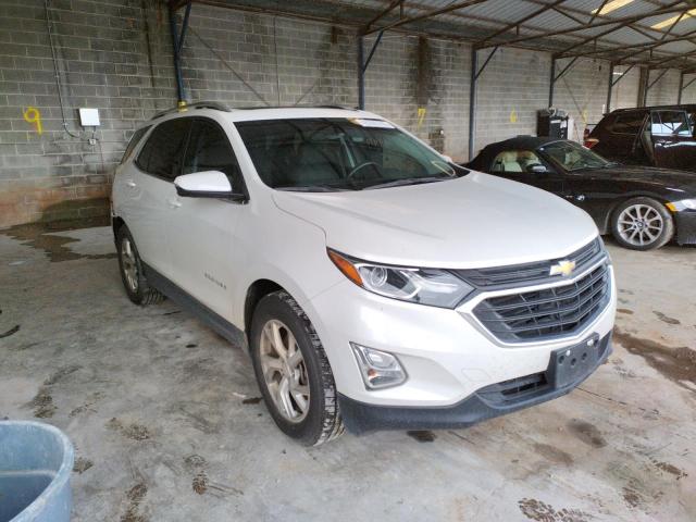 CHEVROLET EQUINOX LT 2019 with VIN 2GNAXLEX1K6199729 - Photo from auction
