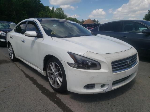 NISSAN MAXIMA S 2009 with VIN 1N4AA51E59C826823 - Photo from auction