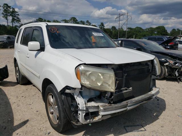 HONDA PILOT EX 2009 with VIN 5FNYF38439B020610 - Photo from auction
