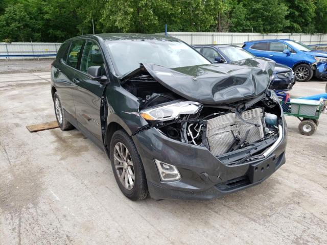 CHEVROLET EQUINOX LS 2019 with VIN 2GNAXHEV6K6229352 - Photo from auction