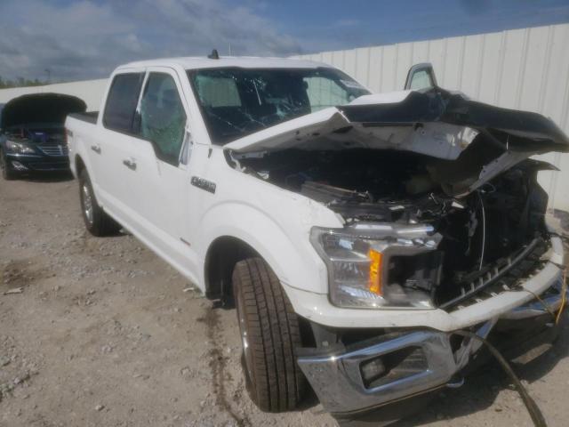 FORD F150 SUPER 2019 with VIN 1FTEW1E53KKC46577 - Photo from auction