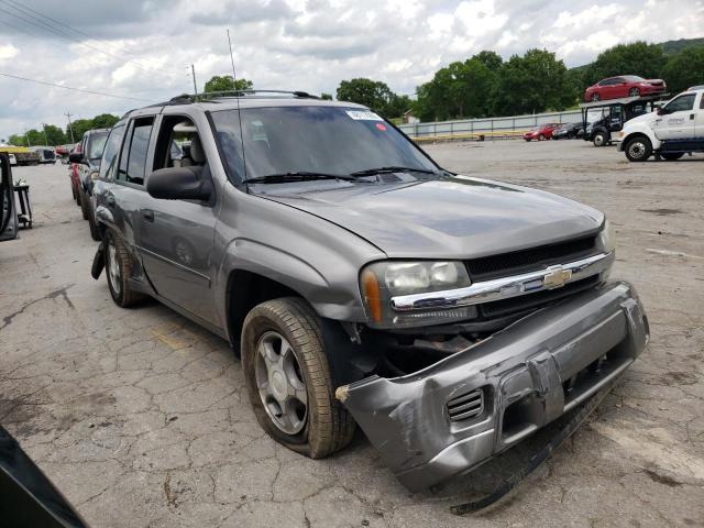 CHEVROLET TRAILBLAZE 2007 with VIN 1GNDS13S872179103 - Photo from auction