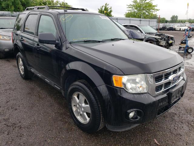 FORD ESCAPE XLT 2010 with VIN 1FMCU0DG2AKA84221 - Photo from auction