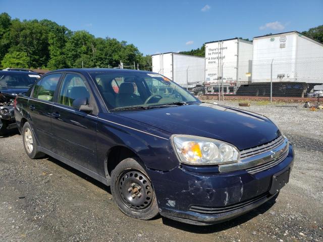 CHEVROLET MALIBU LS 2005 with VIN 1G1ZT54825F327427 - Photo from auction