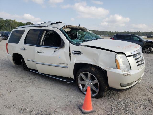 CADILLAC ESCALADE L 2010 with VIN 1GYUCBEF2AR149647 - Photo from auction