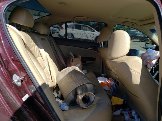 Photo 6 from auction – 2010 HONDA ACCORD EXL with VIN 5KBCP3F86AB014707