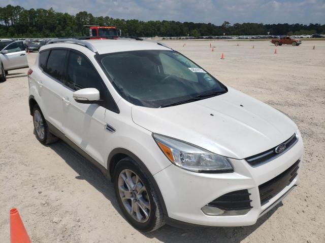 FORD ESCAPE TIT 2014 with VIN 1FMCU0J9XEUE38843 - Photo from auction