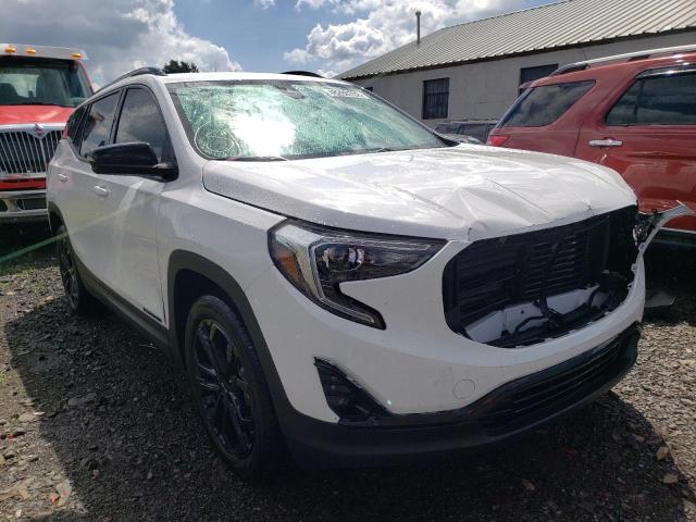 GMC TERRAIN SL 2020 with VIN 3GKALPEV0LL319600 - Photo from auction