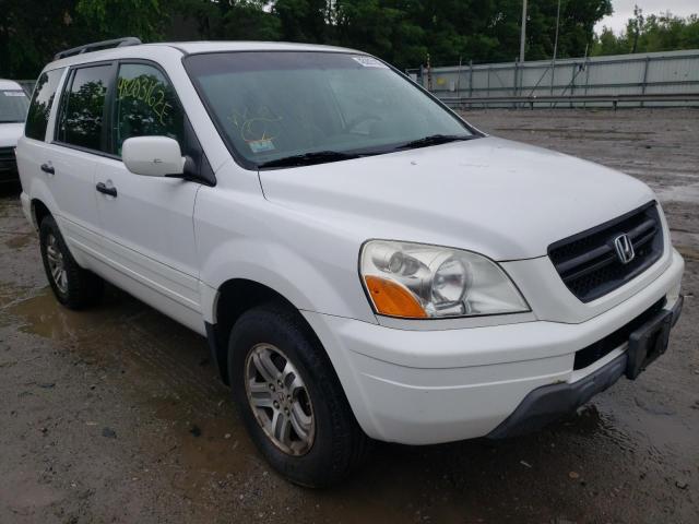 HONDA PILOT EX 2005 with VIN 2HKYF18415H504971 - Photo from auction