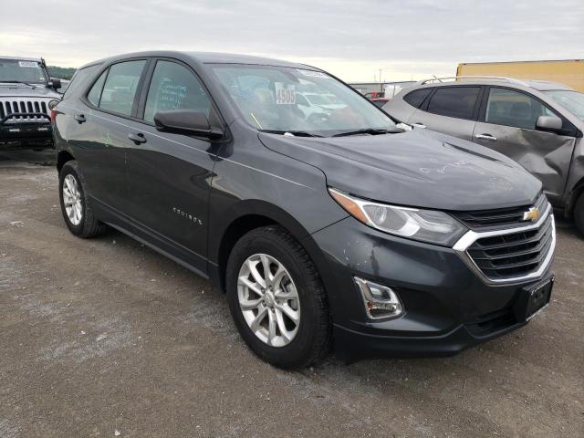 CHEVROLET EQUINOX LS 2019 with VIN 2GNAXHEV2K6131273 - Photo from auction
