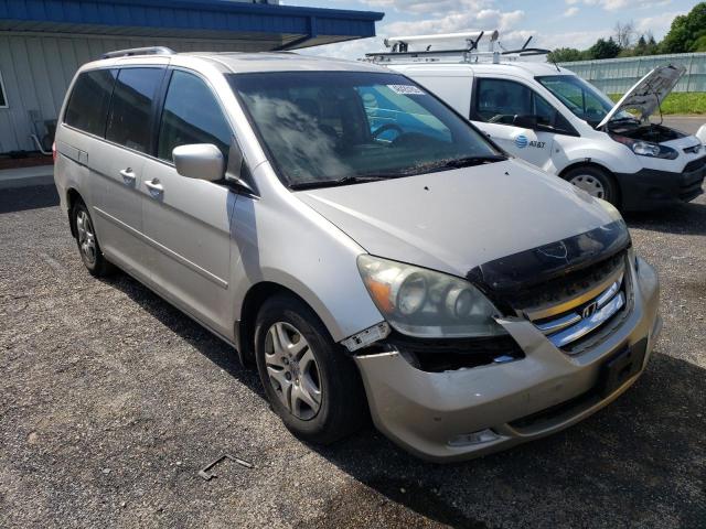 HONDA ODYSSEY TO 2007 with VIN 5FNRL38897B028238 - Photo from auction