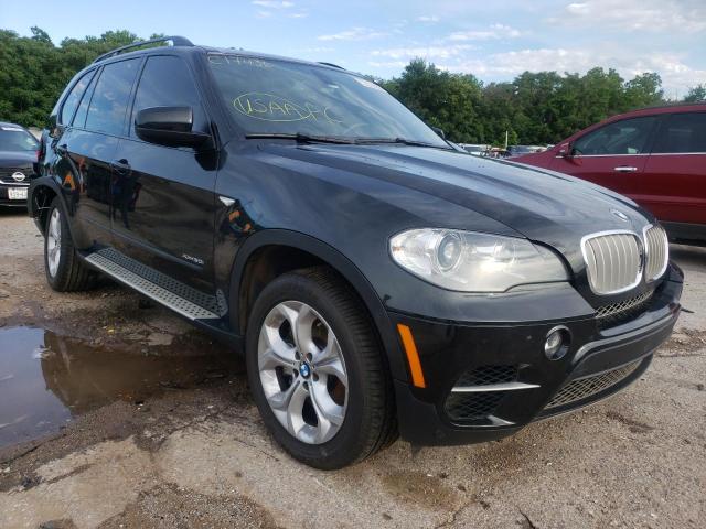BMW X5 XDRIVE5 2013 with VIN 5UXZV8C55D0C17436 - Photo from auction