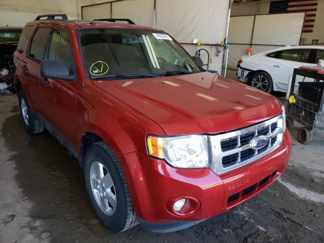 FORD ESCAPE XLT 2010 with VIN 1FMCU0DG9AKA04980 - Photo from auction