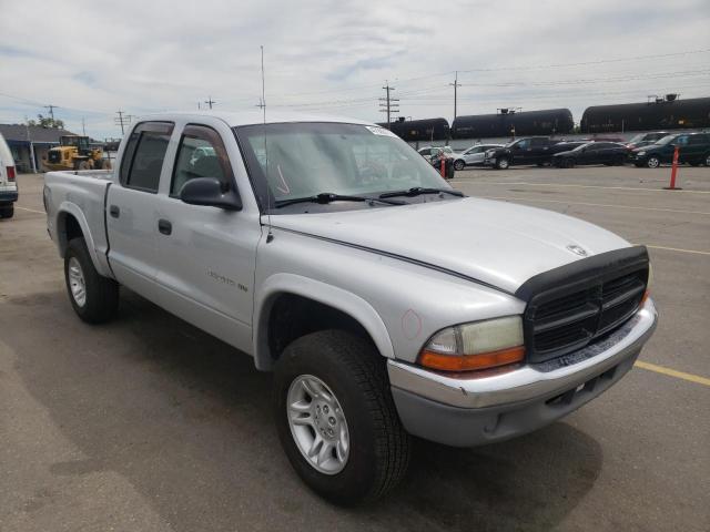 DODGE DAKOTA QUA 2001 with VIN 1B7HG2AN91S314143 - Photo from auction