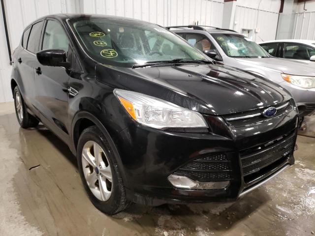 FORD ESCAPE SE 2014 with VIN 1FMCU9GX3EUD87647 - Photo from auction