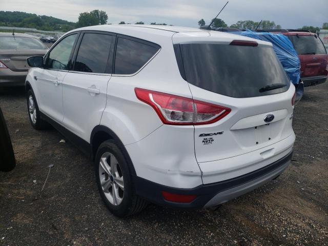 Photo 3 from auction – 2014 FORD ESCAPE SE with VIN 1FMCU0GX0EUD51667